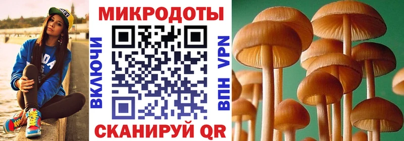 Галлюциногенные грибы MAGIC MUSHROOMS это какой сайт Яблоновский цена наркотик